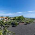 El Alcaidon Tías